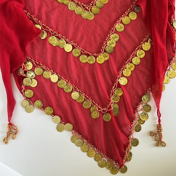 Belly Dancer Belt Skirt Scarf with Dangling Coins - Picture 2 of 3
